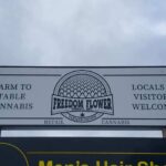 Store – gallery image 4