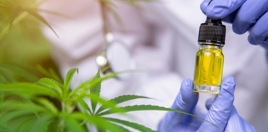 Store – main photo