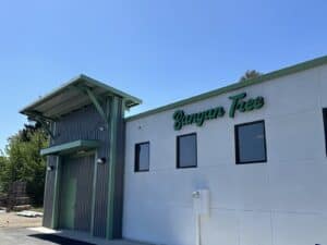 Banyan Tree Fresno — Fresno, CA