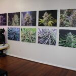 Store – gallery image 3