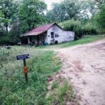 Store – gallery image 2