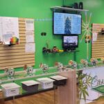 Store – gallery image 2