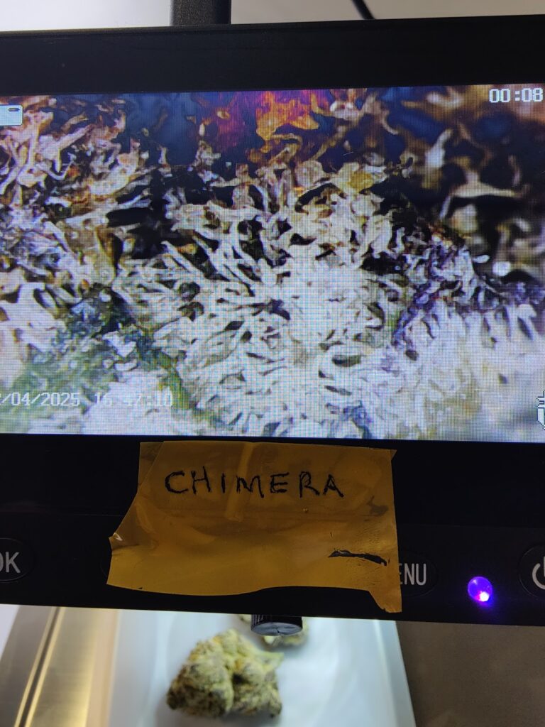 Store – main photo