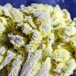 Store – gallery image 3