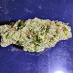 Store – gallery image 5