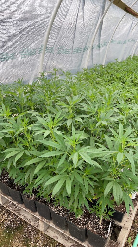 Store – main photo