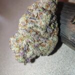 Store – gallery image 5