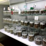 Store – gallery image 2