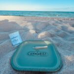 Store – gallery image 5