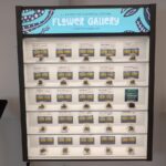 Store – gallery image 3