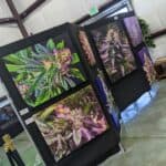 Store – gallery image 4