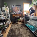 Store – gallery image 2