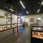 Store – gallery image 4