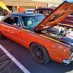 Store – gallery image 4