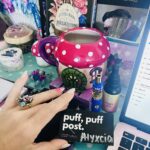 Store – gallery image 5