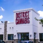 Store – gallery image 5