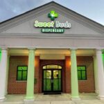 Store – gallery image 1