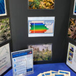 Store – gallery image 2