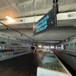 Store – gallery image 2