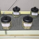 Store – gallery image 4