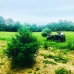 Store – gallery image 2