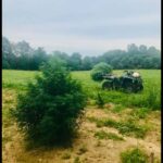 Store – gallery image 5