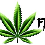 Store – gallery image 2