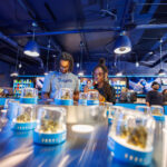 Store – gallery image 5