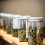 Store – gallery image 2