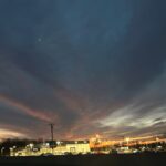 Store – gallery image 5