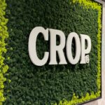 Store – gallery image 2