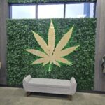 Store – gallery image 4