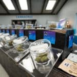 Store – gallery image 2