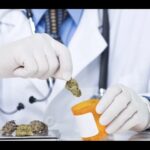 Store – gallery image 5