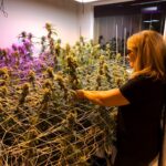 Store – gallery image 4