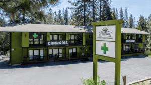 Green Gold’s Little Trees | Dispensary — Arnold, CA