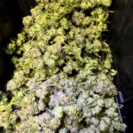 Store – gallery image 1