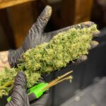 Store – gallery image 5