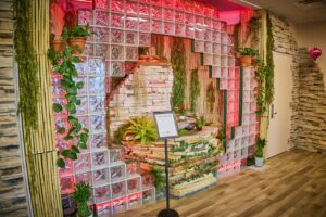 High Haven Dispensary – Normal — Normal, IL