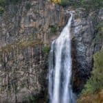 Store – gallery image 2