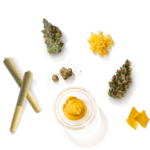 Store – gallery image 2