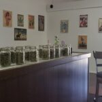 Store – gallery image 3