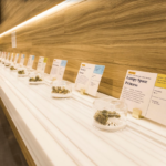 Store – gallery image 4