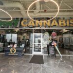 Store – gallery image 5