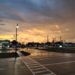 Store – gallery image 5