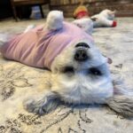 Store – gallery image 4