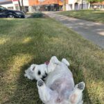 Store – gallery image 5