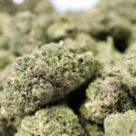 Store – gallery image 3