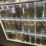 Store – gallery image 3