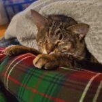 Store – gallery image 5